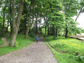 DSCF0571.JPG