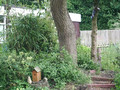 SUNP0028.JPG