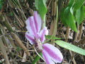 SUNP0092.JPG