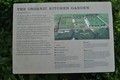 DSC_0503.JPG