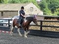 IMG_0569.JPG