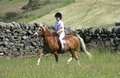 IMG_0060.JPG