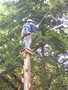 100_3421.JPG