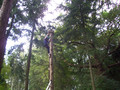 100_3427.JPG