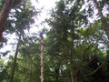 100_3433.JPG