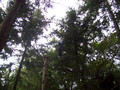 100_3436.JPG