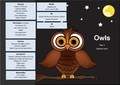 Class 1 - Owls.jpg