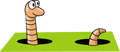 Worm.png