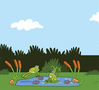 Pond dipping11.png