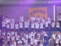IMG_2384.JPG