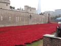 World War 1 Day 05.jpg