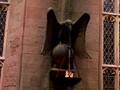 100_6075.JPG