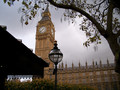 100_6550.JPG