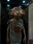 100_6649.JPG