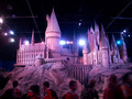 100_6679.JPG