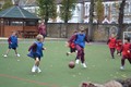 246.JPG