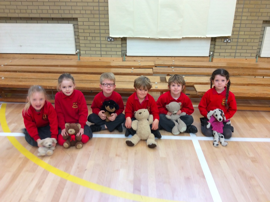P.2W: Isabella,Darwin,Cayley Rose,Corey,Charlie and Grace were ordering their teddies by size