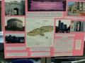 IMG_1173.JPG
