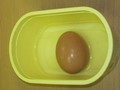 Egg experiment (3).JPG