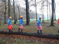 DSCF2613.JPG