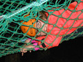 DSCN1654.JPG
