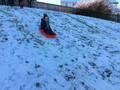 nicola pierce and snow 2015 jan 101.JPG
