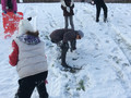 IMG_1073.JPG