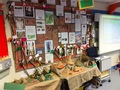 P5W displays (9).JPG