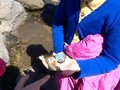 OceanUpload1780430988813160608_1403009388854_compressed.jpg