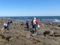 OceanUpload2197089603607627131_1403009327762_compressed.jpg