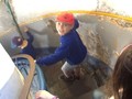 OceanUpload4360198293458792672_1403009501745_compressed.jpg