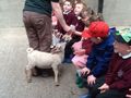 farm1.JPG