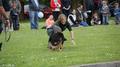DSC06016.JPG
