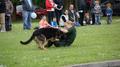 DSC06015.JPG