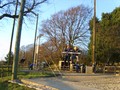 S8302739.JPG