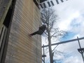 DSCN3115.JPG