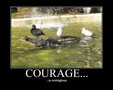 Courage_is_contagious.jpg