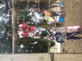DSCF2223.JPG