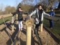 DSCF2313.JPG