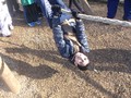 DSCF2339.JPG