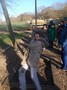 DSCF2352.JPG