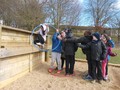 DSCN3363.JPG