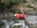 DSCF1823.JPG
