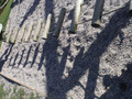 DSCF1894.JPG
