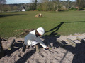 DSCF1896.JPG