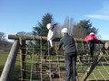DSCF1950.JPG