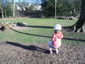 DSCF1985.JPG
