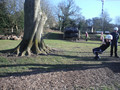 DSCF1989.JPG