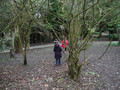 DSCF2009.JPG