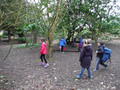 DSCF2016.JPG